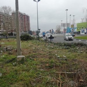 Protezione civile che pulisce viale Casiraghi