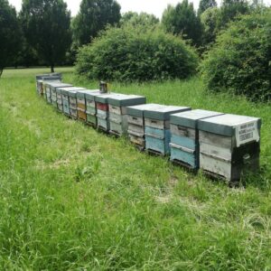 arnie apicoltura nei parchi