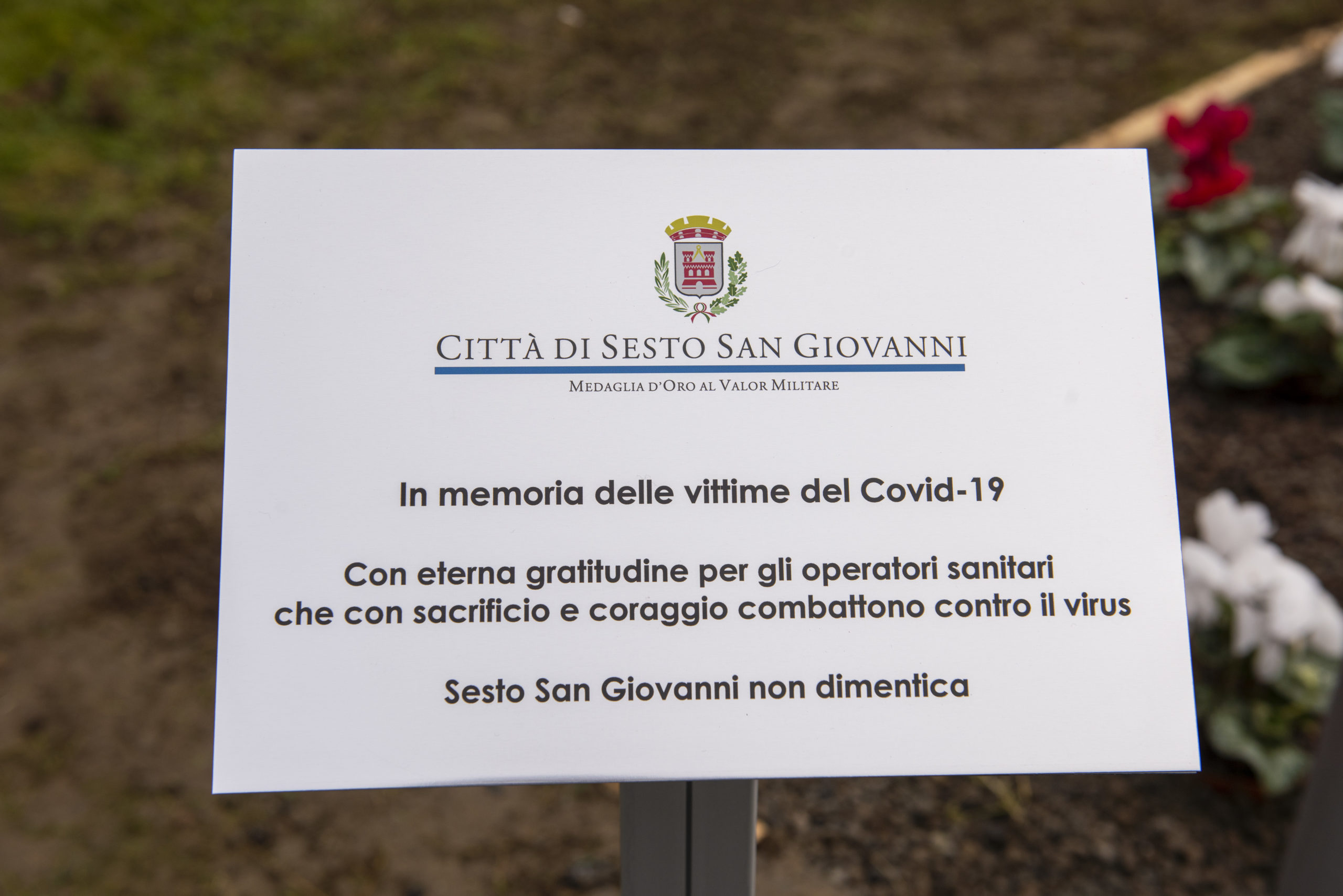 Un albero intagliato in memoria delle vittime covid e in omaggio al personale sanitario