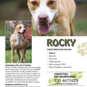 volantino adottare un cane - Rocky