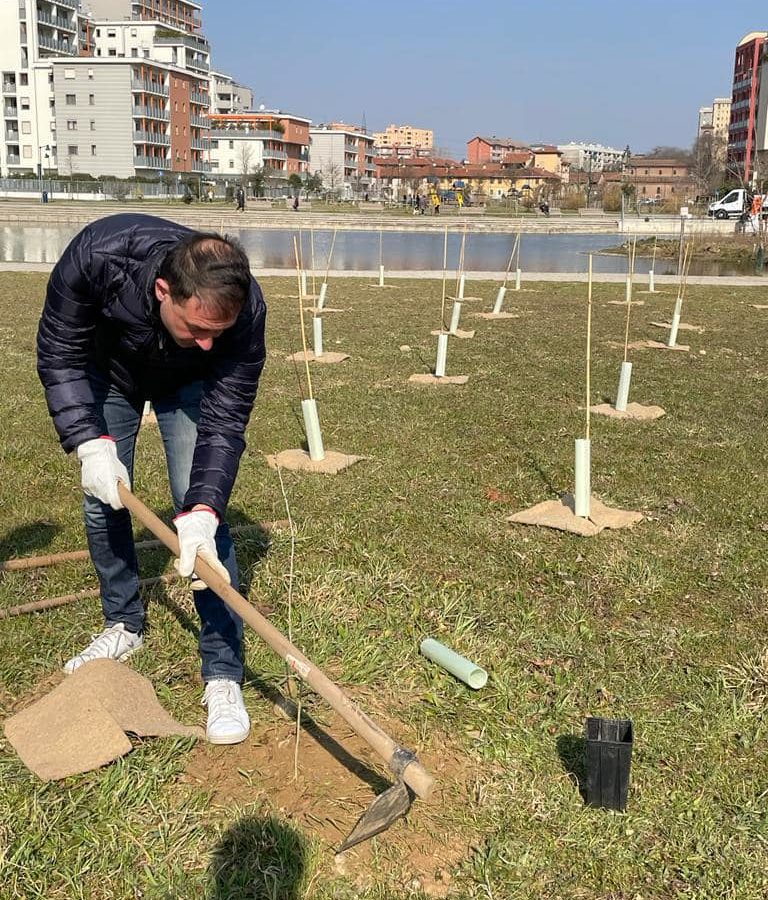 Il progetto Forestami a Sesto San Giovanni: 1.550 nuovi alberi per la città