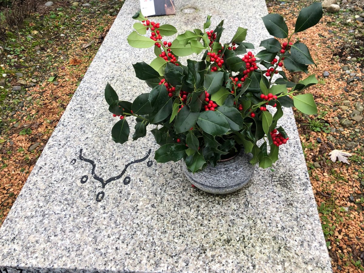 Festività natalizie: orari dei cimiteri