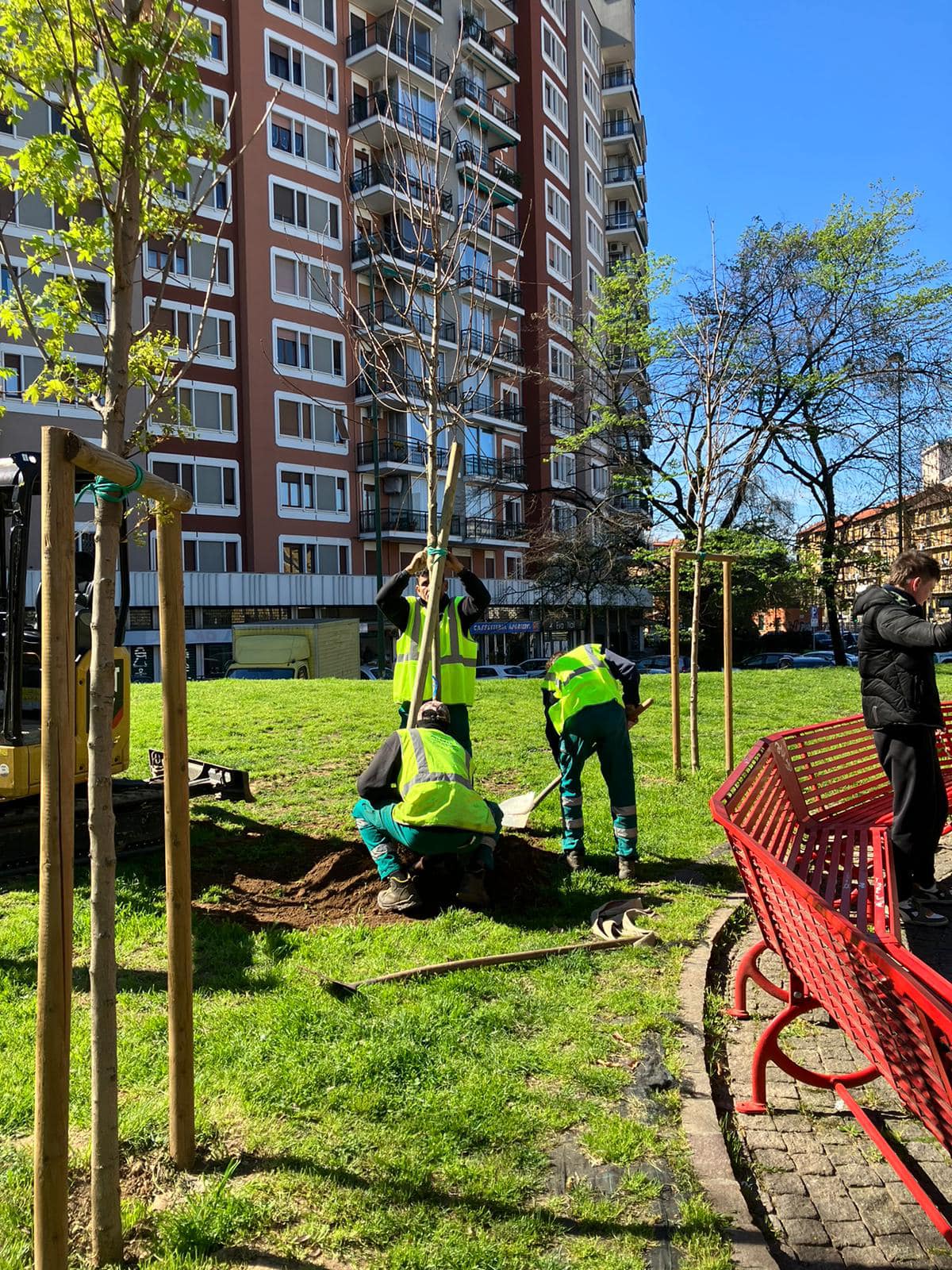 Sesto sempre più verde: piantati 500 alberi