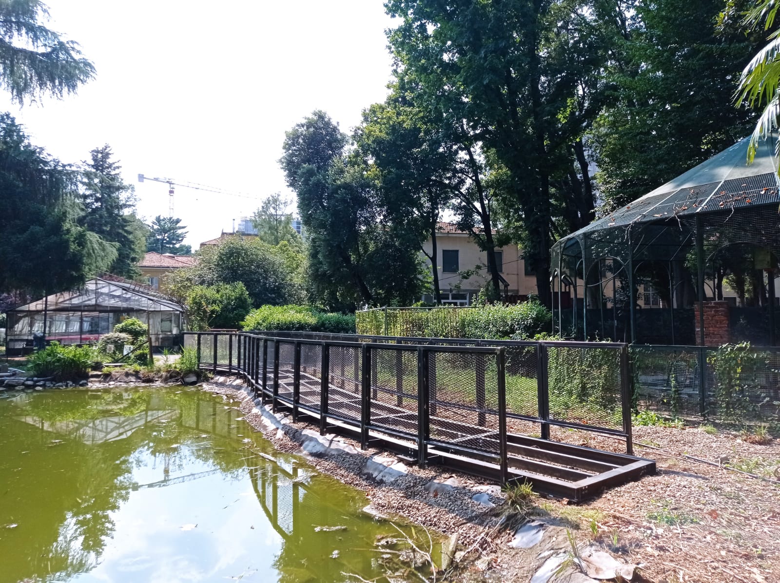 Restyling giardini villa Mylius - avanzamento lavori luglio 24