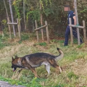 La polizia locale e un cane dell'antidroga alla ricerca nella stazione dei treni