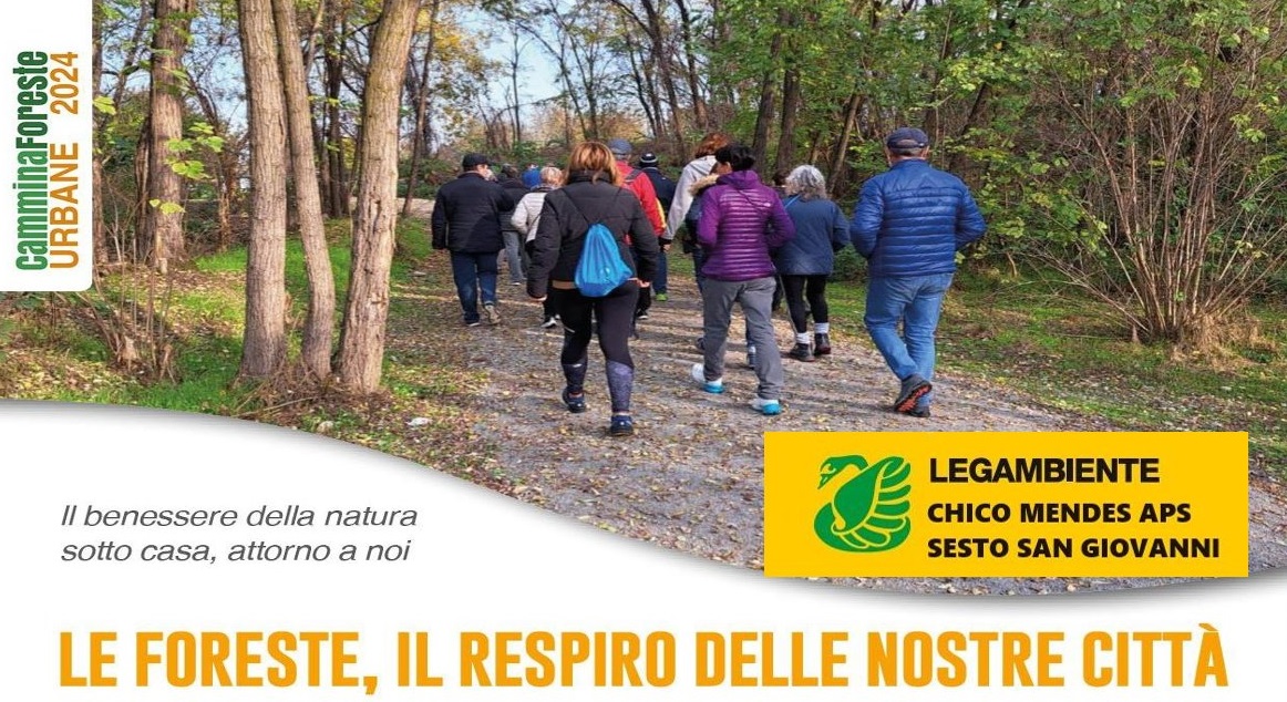 Cammina foreste urbane e festa dell’albero 2024