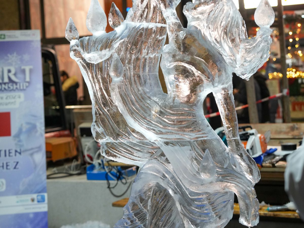 World Ice Art Championship 13-15 dicembre 2024, piazza Petazzi, Sesto San Giovanni