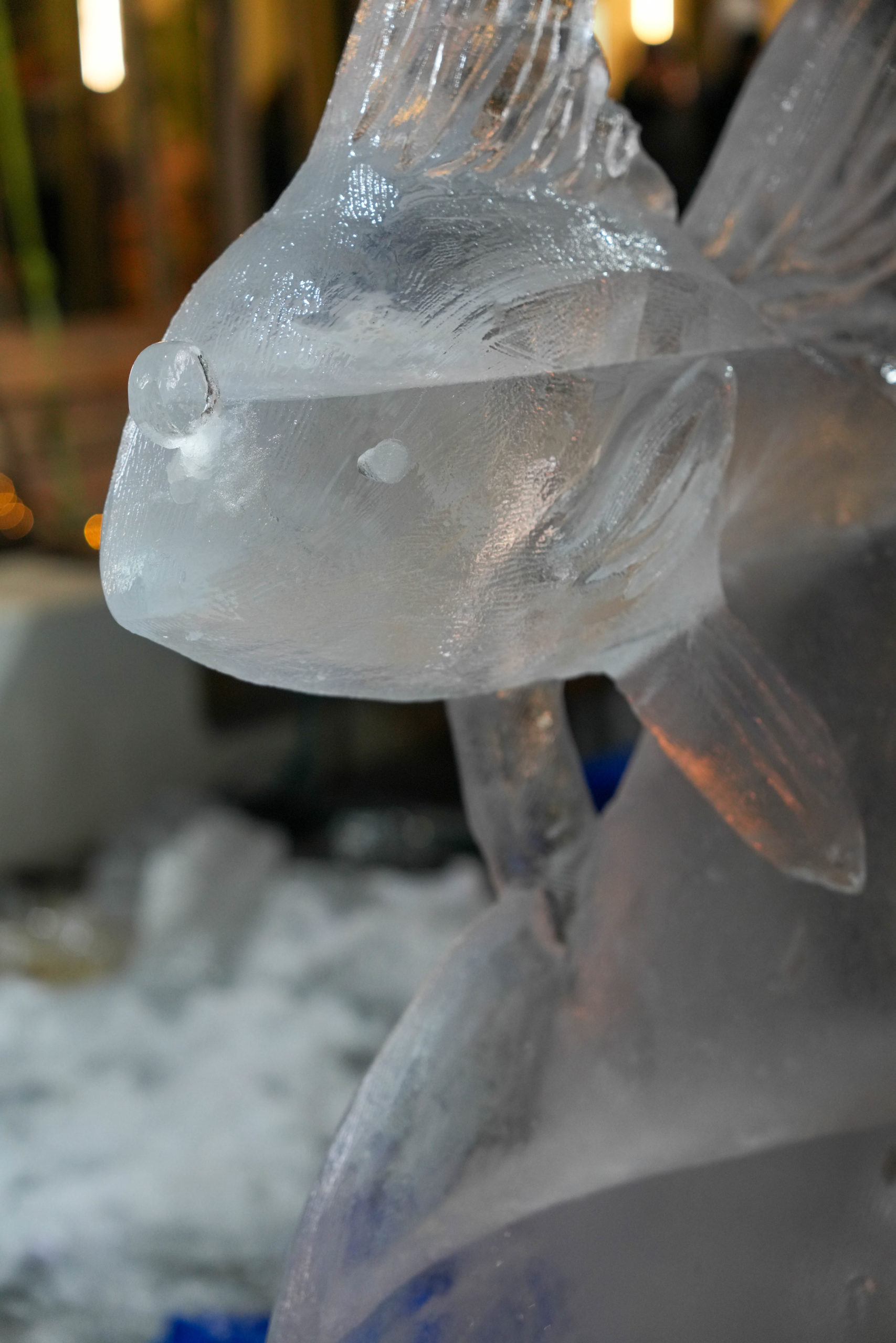 World Ice Art Championship 13-15 dicembre 2024, piazza Petazzi, Sesto San Giovanni