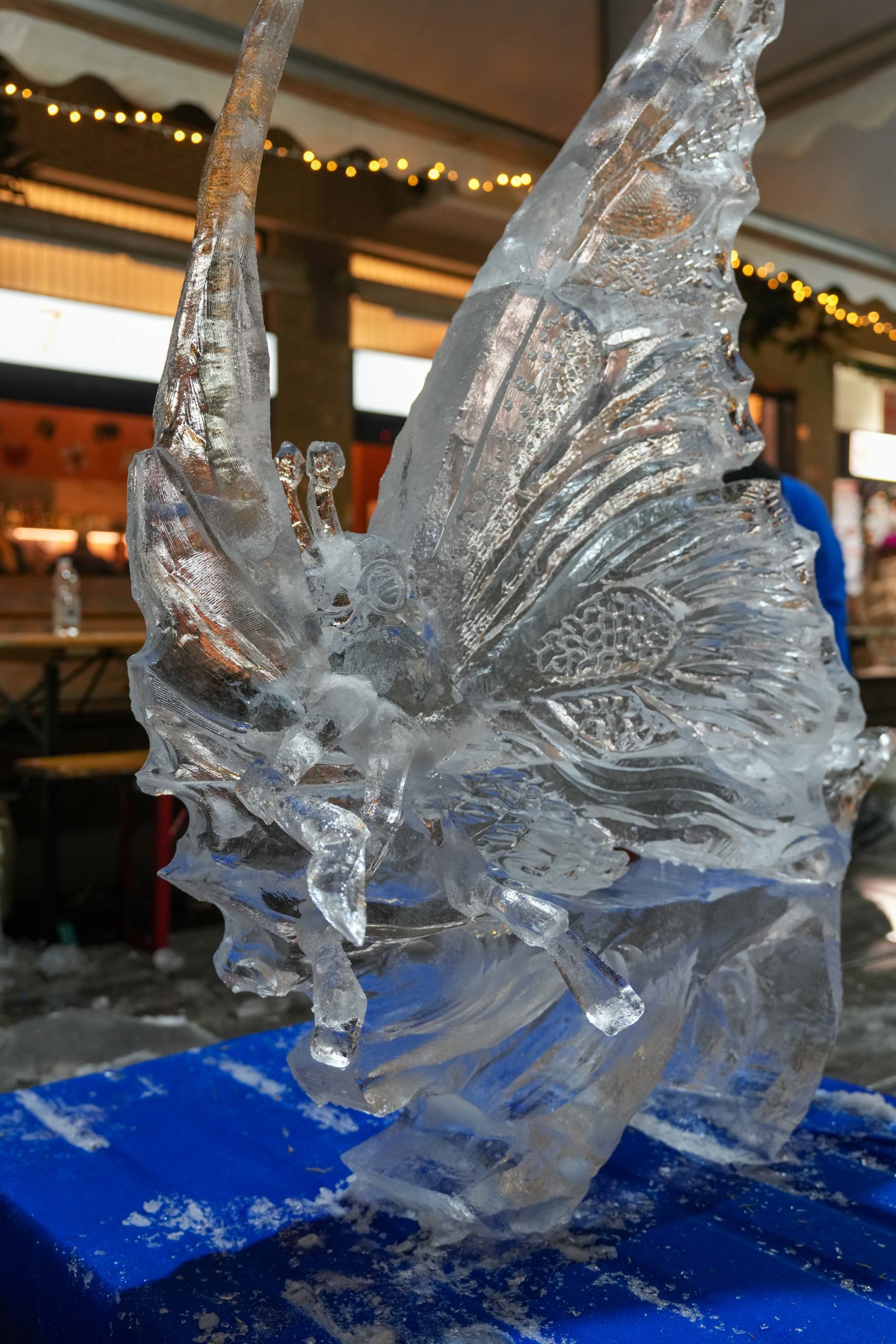 World Ice Art Championship 13-15 dicembre 2024, piazza Petazzi, Sesto San Giovanni