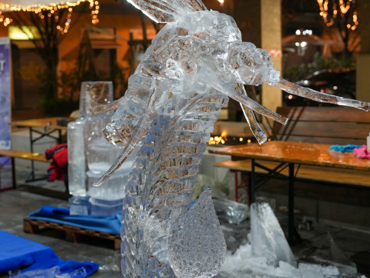 World Ice Art Championship 13-15 dicembre 2024, piazza Petazzi, Sesto San Giovanni