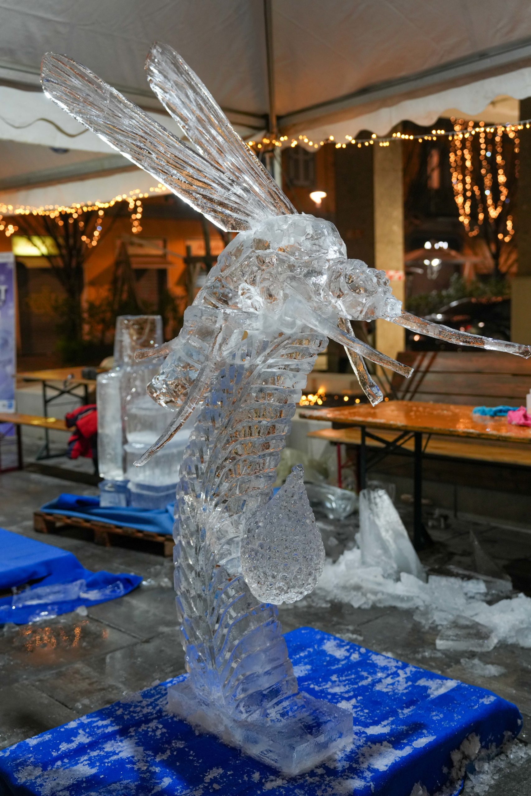 World Ice Art Championship 13-15 dicembre 2024, piazza Petazzi, Sesto San Giovanni