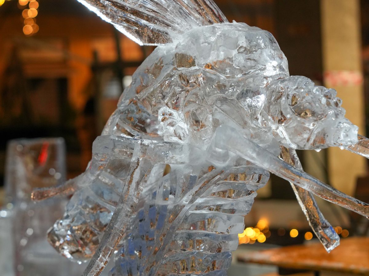 World Ice Art Championship 13-15 dicembre 2024, piazza Petazzi, Sesto San Giovanni