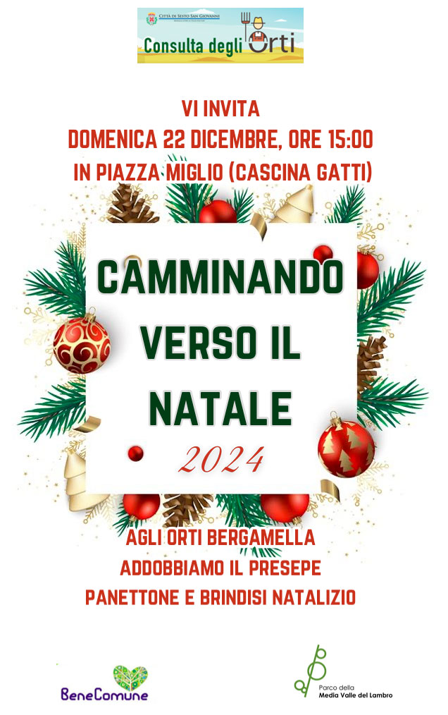 Camminando verso il Natale