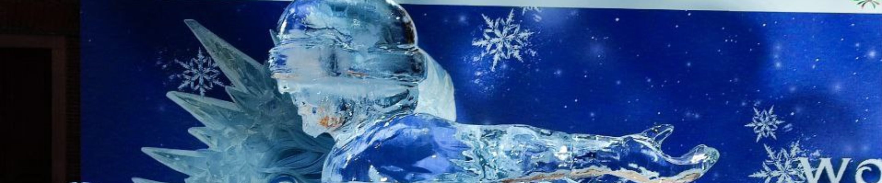 World Ice Art Championship 13-15 dicembre 2024, piazza Petazzi, Sesto San Giovanni